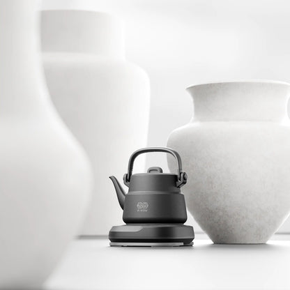 K·KOU Volcanic Rock Electric Kettle